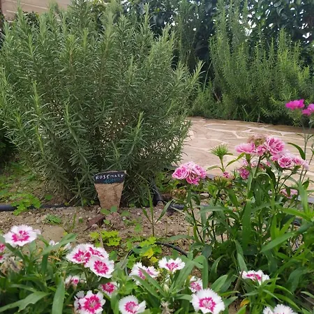 Rosemary Rhodes Villa *