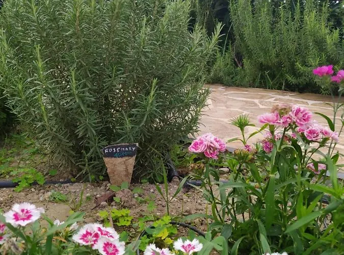 Rosemary Rhodes Villa *